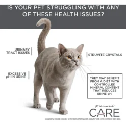 Diamond Care Urinary Support Formula Adult Dry Cat Food -Furry Feast 175579 PT5. AC SS1800 V1587655887