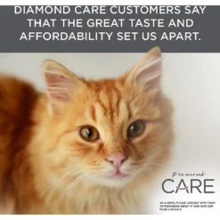 Diamond Care Urinary Support Formula Adult Dry Cat Food -Furry Feast 175579 PT6. AC SS1800 V1587655858