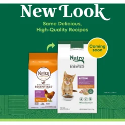 Nutro Wholesome Essentials Chicken & Brown Rice Recipe Kitten Dry Cat Food -Furry Feast 175960 PT1. AC SS1800 V1702665880