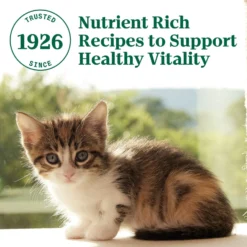 Nutro Wholesome Essentials Chicken & Brown Rice Recipe Kitten Dry Cat Food -Furry Feast 175960 PT6. AC SS1800 V1702665940