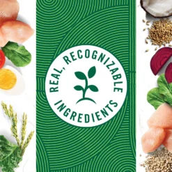 Nutro Wholesome Essentials Chicken & Brown Rice Recipe Kitten Dry Cat Food -Furry Feast 175960 PT7. AC SS1800 V1702665978