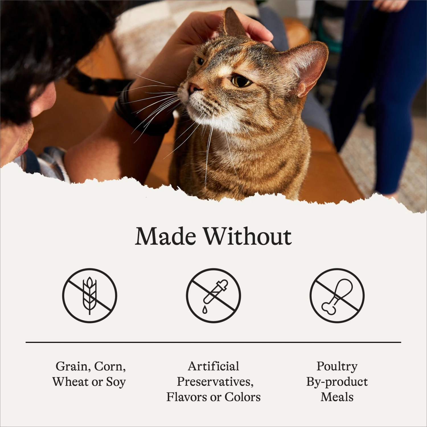 American Journey Minced Poultry In Gravy Variety Pack Grain-Free Canned Cat Food 5 American Journey Minced Poultry In Gravy Variety Pack Grain-Free Canned Cat Food - Image 5