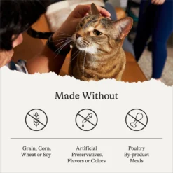 American Journey Minced Poultry & Seafood In Gravy Variety Pack Grain-Free Canned Cat Food -Furry Feast 178481 PT5. AC SS1800 V1691676744