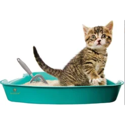 SunGrow Non-Stick Metal Scoop Kitty Box Cat Litter Scooper -Furry Feast 179562 PT2. AC SS1800 V1561406825