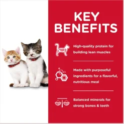 Hill's Science Diet Kitten Liver & Chicken & Savory Salmon Variety Pack Canned Cat Food -Furry Feast 181111 PT4. AC SS1800 V1598141774