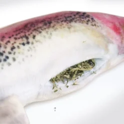 Meowijuana Refillable Get Smoked Catnip Fish Cat Toy -Furry Feast 181282 PT4. AC SS1800 V1631681797