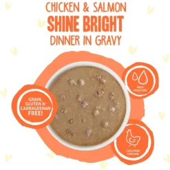 BFF OMG Shine Bright! Chicken & Salmon In Gravy Wet Cat Food Pouches -Furry Feast 182280 PT2. AC SS1800 V1644916949