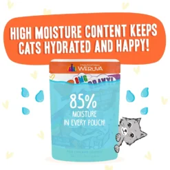 BFF OMG Shine Bright! Chicken & Salmon In Gravy Wet Cat Food Pouches -Furry Feast 182280 PT3. AC SS1800 V1644912999