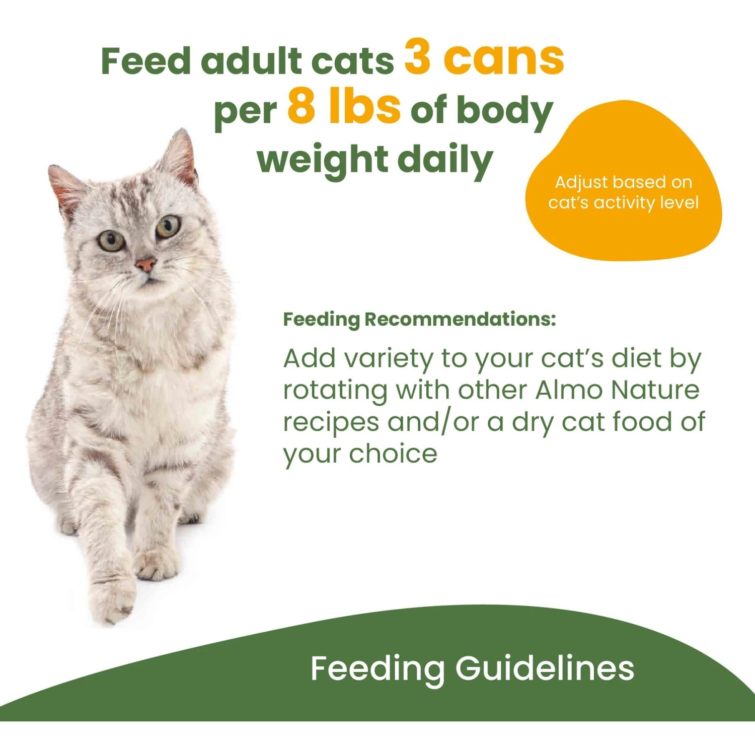 Almo Nature Daily Complete Tuna Dinner With Chicken In Broth Canned Cat Food 8 Almo Nature Daily Complete Tuna Dinner With Chicken In Broth Canned Cat Food - Image 8