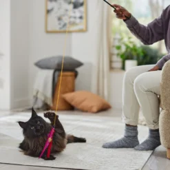 Ethical Pet Feather Dangler Wand Cat Toy With Catnip -Furry Feast 188899 PT3. AC SS1800 V1682711091