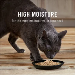 American Journey Landmark Chicken Recipe In Broth Grain-Free Canned Cat Food, 3-oz, Case Of 12 -Furry Feast 193492 PT5. AC SS1800 V1582123987