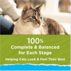 Cat Chow Naturals Indoor With Real Chicken & Turkey Dry Cat Food -Furry Feast 202717 PT7. AC SS1800 V1695845947