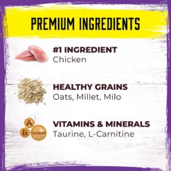 Inception Chicken Recipe Dry Cat Food -Furry Feast 205302 PT2. AC SS1800 V1642546899