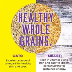 Inception Chicken Recipe Dry Cat Food -Furry Feast 205302 PT4. AC SS1800 V1642564062