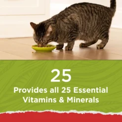 Purina Cat Chow Naturals Original With Added Vitamins, Minerals & Nutrients Dry Cat Food -Furry Feast 211440 PT3. AC SS1800 V1695845919
