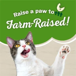 Purina Friskies Farm Favorites With Chicken Dry Cat Food -Furry Feast 214335 PT3. AC SS1800 V1700159911