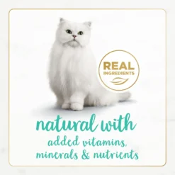 Fancy Feast Gourmet Naturals Ocean Whitefish Recipe Grain-Free Pate Canned Cat Food, 3-oz Can, Case Of 12 -Furry Feast 214799 PT3. AC SS1800 V1677102858