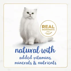 Fancy Feast Gourmet Naturals Natural Rainbow Trout Recipe In Gravy Canned Cat Food, 3-oz Can, Case Of 12 -Furry Feast 214801 PT3. AC SS1800 V1677103480