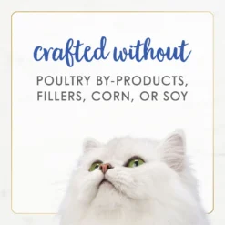 Fancy Feast Gourmet Naturals Natural Rainbow Trout Recipe In Gravy Canned Cat Food, 3-oz Can, Case Of 12 -Furry Feast 214801 PT6. AC SS1800 V1677102399