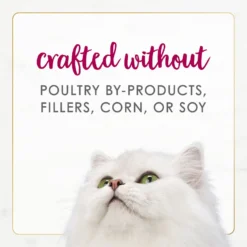 Fancy Feast Gourmet Naturals Natural White Meat Chicken & Beef Recipe In Gravy Canned Cat Food, 3-oz Can, Case Of 12 -Furry Feast 214805 PT6. AC SS1800 V1677102920