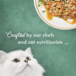 Fancy Feast Medleys White Meat Chicken Recipe With Carrots & Spinach Canned Cat Food, 3-oz Can, Case Of 24 -Furry Feast 214811 PT3. AC SS1800 V1666838757