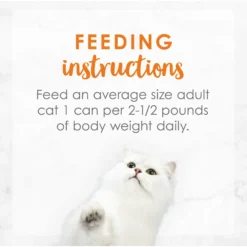 Fancy Feast Medleys White Meat Chicken Recipe With Carrots & Spinach Canned Cat Food, 3-oz Can, Case Of 24 -Furry Feast 214811 pt7. AC SS1800 V1576853346