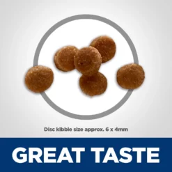 Hill's Science Diet Kitten Chicken & Brown Rice Recipe Dry Cat Food -Furry Feast 215365 PT2. AC SS1800 V1614206182