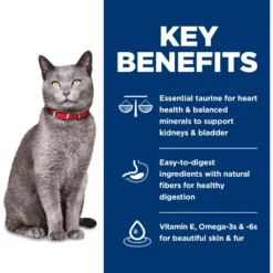 Hill's Science Diet Adult 7+ Chicken & Brown Rice Recipe Dry Cat Food -Furry Feast 215372 PT4. AC SS1800 V1595620263