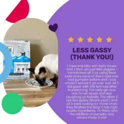 I And Love And You Naked Essentials Digestive Support Chicken And Pumpkin Recipe Dry Cat Food, 3.4-lb Bag -Furry Feast 217319 PT3. AC SS1800 V1688157467