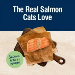 Blue Buffalo True Solutions Perfect Skin & Coat Natural Salmon Adult Dry Cat Food 11 Blue Buffalo True Solutions Perfect Skin & Coat Natural Salmon Adult Dry Cat Food -Furry Feast 218303 PT2. AC SS1800 V1696449937