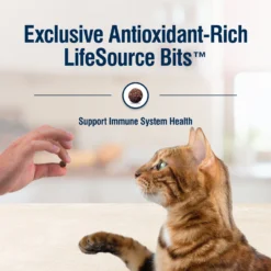 Blue Buffalo True Solutions Perfect Skin & Coat Natural Salmon Adult Dry Cat Food 15 Blue Buffalo True Solutions Perfect Skin & Coat Natural Salmon Adult Dry Cat Food -Furry Feast 218303 PT6. AC SS1800 V1696449988