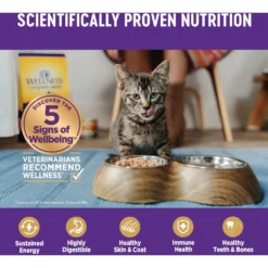 Wellness Seafood Pate Favorites Canned Cat Food, 3-oz, Case Of 24 -Furry Feast 218315 PT4. AC SS1800 V1666652354