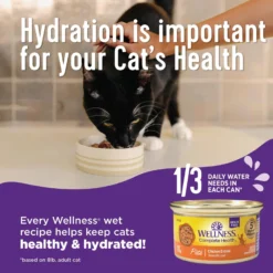Wellness Chicken & Turkey Lovers Canned Cat Food, 3-oz, Case Of 24 -Furry Feast 218317 PT3. AC SS1800 V1666652285