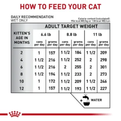 Royal Canin Veterinary Diet Kitten Gastrointestinal Ultra Soft Mousse In Sauce Canned Cat Food -Furry Feast 228177 PT6. AC SS1800 V1691438213