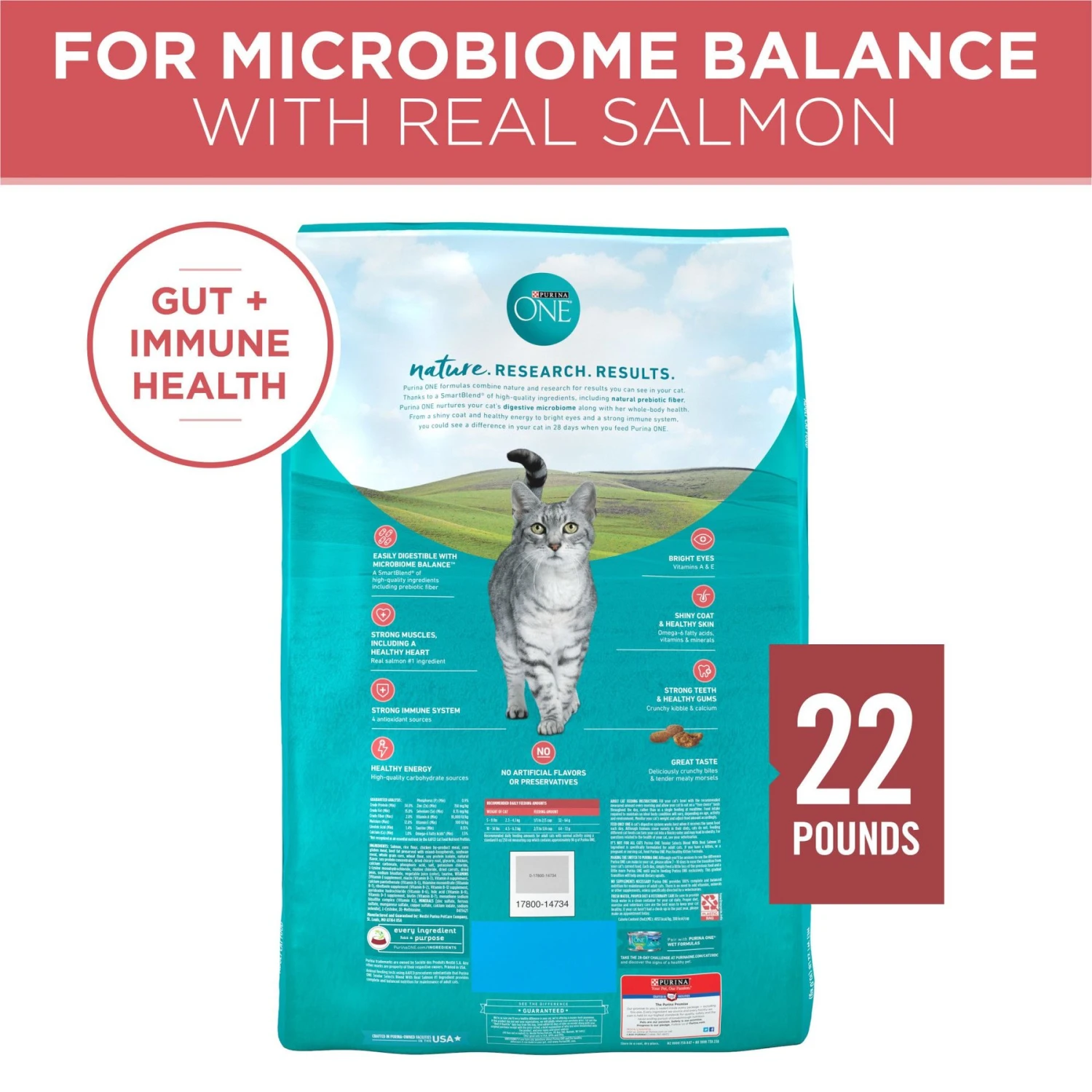 Purina ONE Tender Selects Blend With Real Salmon Dry Cat Food 2 Purina ONE Tender Selects Blend With Real Salmon Dry Cat Food - Image 2