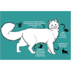 Chicken Soup For The Soul Classic Salmon & Brown Rice Recipe Adult Cat Dry Food -Furry Feast 236301 PT4. AC SS1800 V1694726369