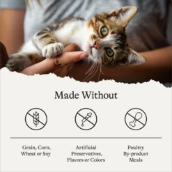 American Journey Kitten Pate Chicken Recipe Grain-Free Canned Cat Food, 3-oz, Case Of 24 -Furry Feast 242872 PT7. AC SS1800 V1689951316