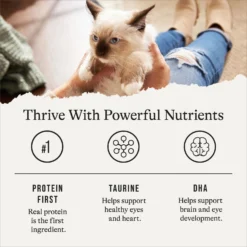 American Journey Kitten Minced Chicken Recipe in Gravy Grain-Free Canned Cat Food, 3-oz, Case Of 24 14 American Journey Kitten Minced Chicken Recipe in Gravy Grain-Free Canned Cat Food, 3-oz, Case Of 24 -Furry Feast 242874 PT5. AC SS1800 V1689951401