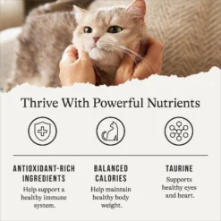 American Journey Indoor Recipe With Chicken Grain-Free Dry Cat Food, 12-lb Bag -Furry Feast 243724 PT4. AC SS1800 V1668737293