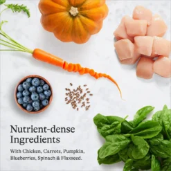 American Journey Indoor Recipe With Chicken Grain-Free Dry Cat Food, 12-lb Bag -Furry Feast 243724 PT5. AC SS1800 V1680787074