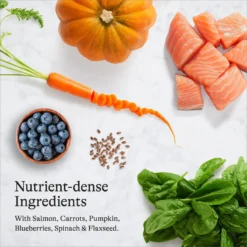 American Journey Indoor Recipe With Salmon Grain-Free Dry Cat Food, 12-lb Bag -Furry Feast 243726 PT5. AC SS1800 V1680787130