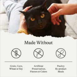 American Journey Indoor Recipe With Salmon Grain-Free Dry Cat Food, 12-lb Bag -Furry Feast 243726 PT6. AC SS1800 V1680787131