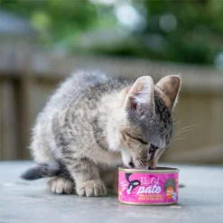 Tiki Cat Pate Tuna & Crab Surimi Recipe In Tuna Broth Wet Cat Food, 2.8-oz, Case Of 12 -Furry Feast 259126 PT6. AC SS1800 V1631198783