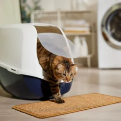 Frisco Sisal Mat -Furry Feast 259250 PT3. AC SS1800 V1675279993