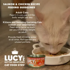Lucy Pet Products Kettle Creations Salmon & Chicken Recipe In Gravy Wet Cat Food, 2.47-oz Can, Case Of 12 -Furry Feast 263496 PT5. AC SS1800 V1607439504