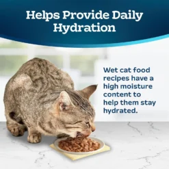Blue Buffalo Tastefuls Tuna, Chicken, Fish & Shrimp Entrées Variety Pack Flaked Wet Cat Food -Furry Feast 264519 PT6. AC SS1800 V1689356910