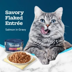 Blue Buffalo Tastefuls Salmon Entrée In Gravy Flaked Wet Cat Food, 3-oz Can, Case Of 24 -Furry Feast 264531 PT3. AC SS1800 V1630736821