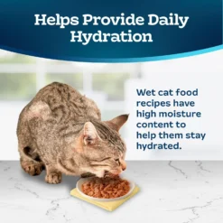 Blue Buffalo Tastefuls Salmon Entrée In Gravy Flaked Wet Cat Food, 3-oz Can, Case Of 24 -Furry Feast 264531 PT6. AC SS1800 V1630731460