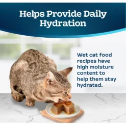 Blue Buffalo Tastefuls Salmon Entrée Pate Wet Cat Food -Furry Feast 264546 PT6. AC SS1800 V1630732320