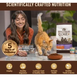 Wellness CORE Digestive Health Chicken & Turkey Pate Variety Pack Grain-Free Wet Cat Food 12 Wellness CORE Digestive Health Chicken & Turkey Pate Variety Pack Grain-Free Wet Cat Food -Furry Feast 264904 PT4. AC SS1800 V1608692275